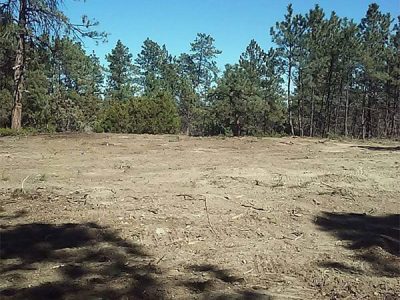 Land Clearing Service Machine